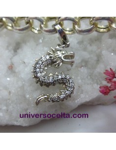 Dragón charm colgante con...