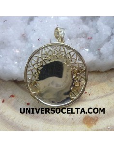 Medalla de Covadonga de Diseño MCH 2