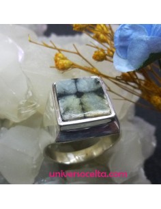 Sello en plata con Piedra Quiastolita Q5P