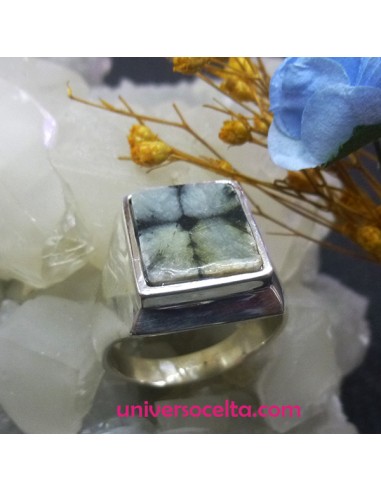 Sello en plata con Piedra Quiastolita Q5P