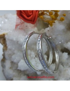Aretes de plata y Pedrería con bisagra central D61