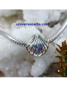 Concha abalorio para pulsera