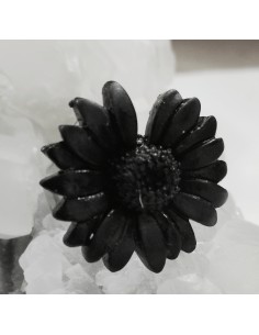 Anillo Flor de Carbón AU9