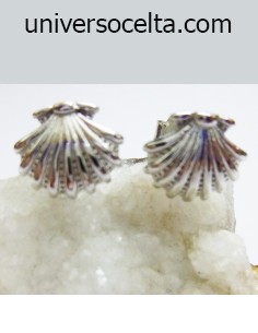 Pendientes concha de...