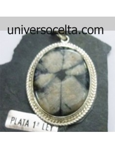 Colgante de Quiastolita y trasera de plata CQ9