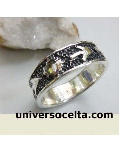 Anillo Camino de  Santiago 141-10 2