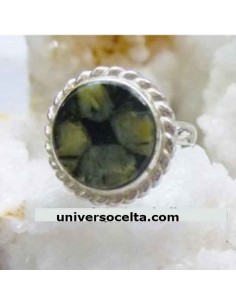 Anillo de Plata y...