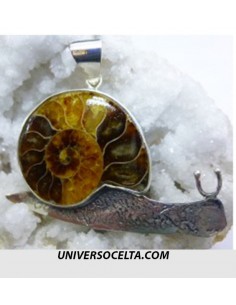 Ammonite con Plata. Diseño...