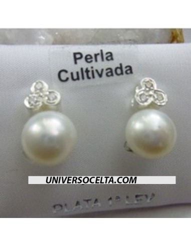 PENDIENTE 4071
