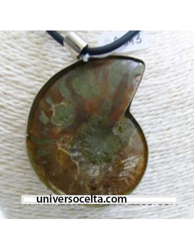 Ammonite colgante de plata AMM3