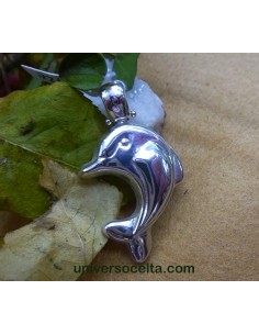 Colgante Delfin en plata S4B 2