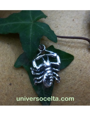Colgante Escorpión de Plata 301-0010