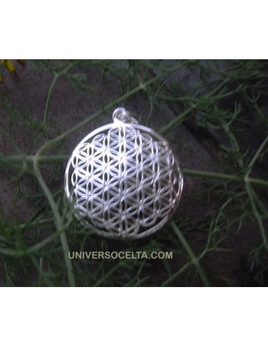 Flor del Amor, Símbolo Celta de plata