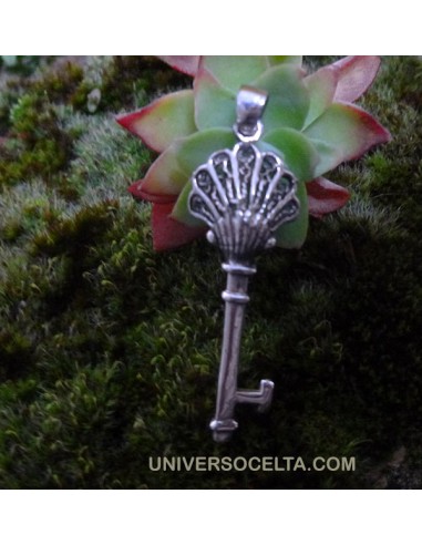 Llave de la Suerte con Concha del...