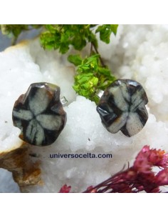 Pendientes con Quiastolita de Boal AIH 2