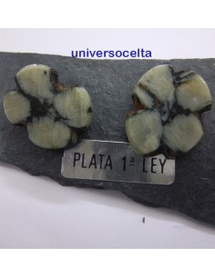 Pendientes con Quiastolita de Boal AIH