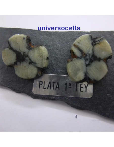 Pendientes con Quiastolita de Boal AIH