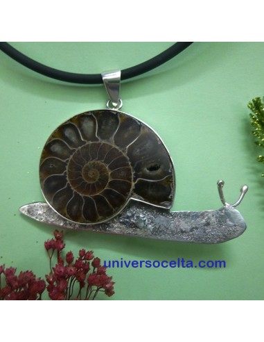 Caracol Artesanal con Ammonite CR6