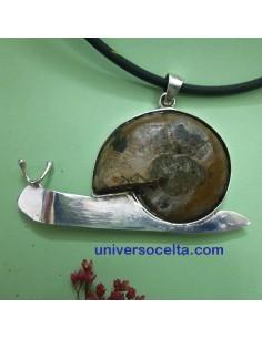 Caracol Artesanal con Ammonite CR6 2