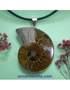 Ammonite colgante de plata AMM3