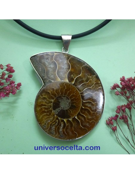 Ammonite colgante de plata AMM3