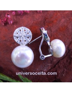651-99 Pendientes elegantes de omega