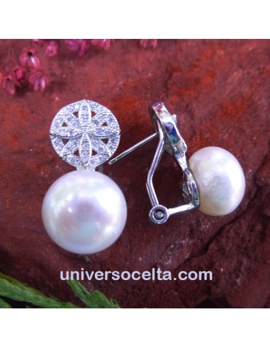 651-99 Pendientes elegantes de omega
