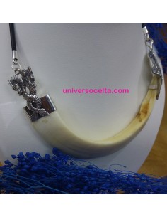Gran Colmillo de Jabalí en Gargantilla con caucho GCU 2