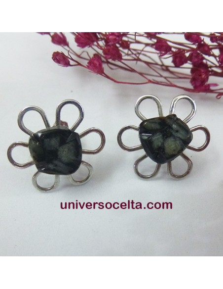 ACQ Pendientes de acero con quiastolita