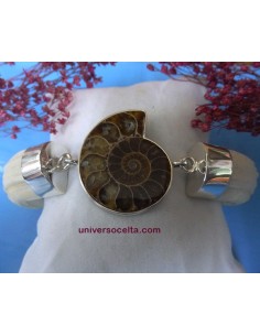 Brazalete artesano con colmillos y Ammonite ABR