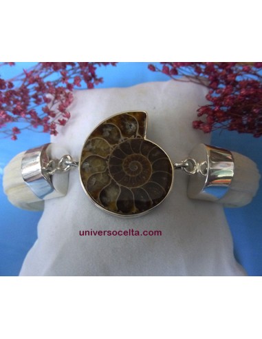 Brazalete artesano con colmillos y Ammonite ABR